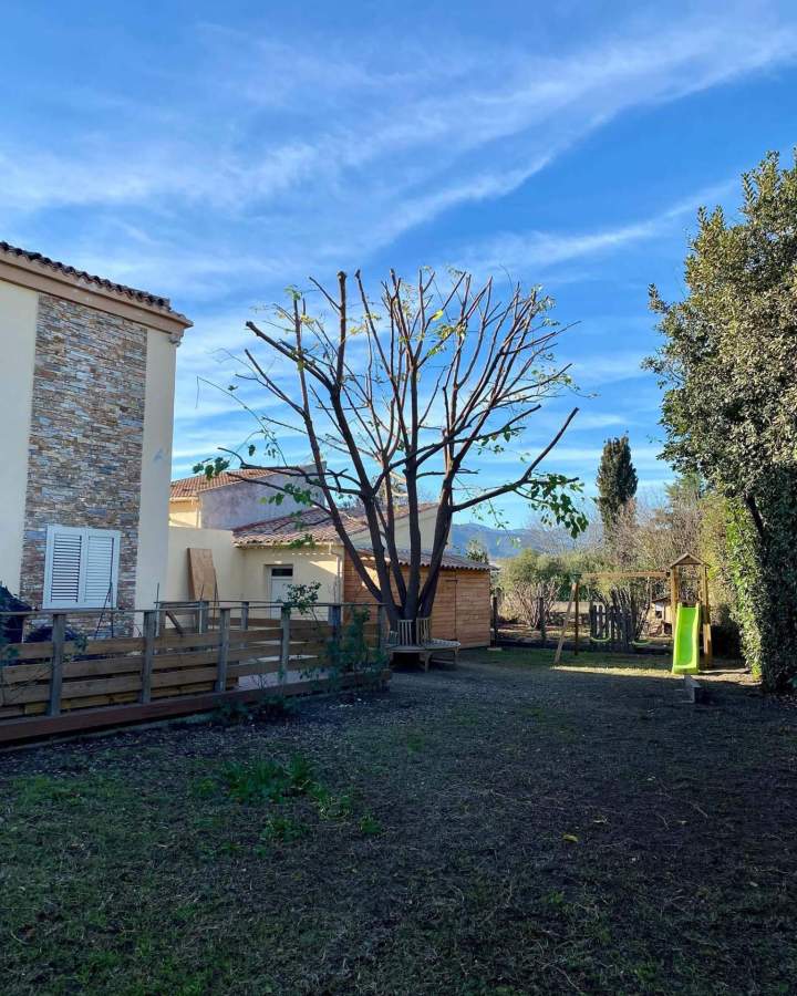 Service d'élagage professionnel arbres Haute‑Corse