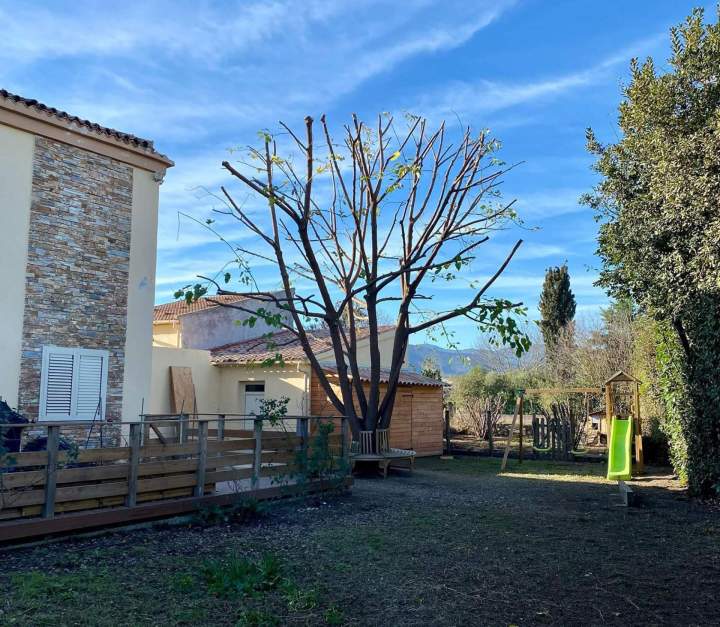 lagage professionnel arbres Haute‑Corse