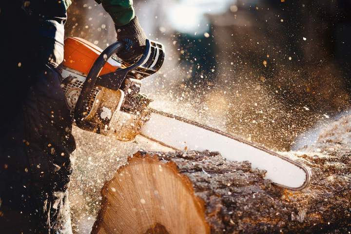 Travaux d'arboriculture Haute‑Corse