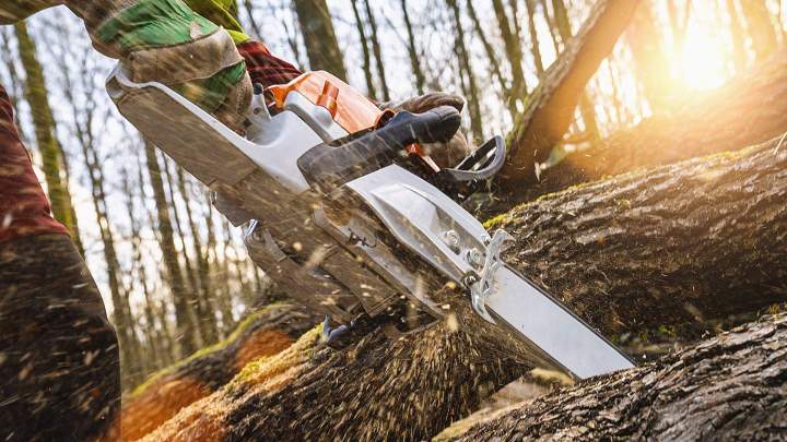Travaux d'arboriculture Haute‑Corse