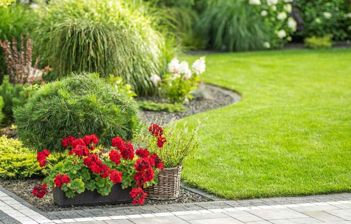 Maintenance espaces verts Haute‑Corse